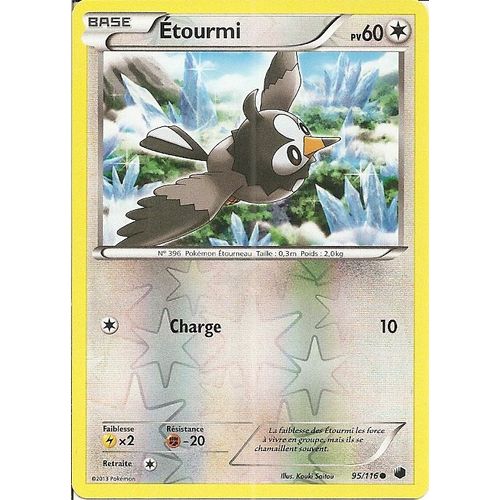 Etourmi 95/116 Réverse - Glaciation Plasma