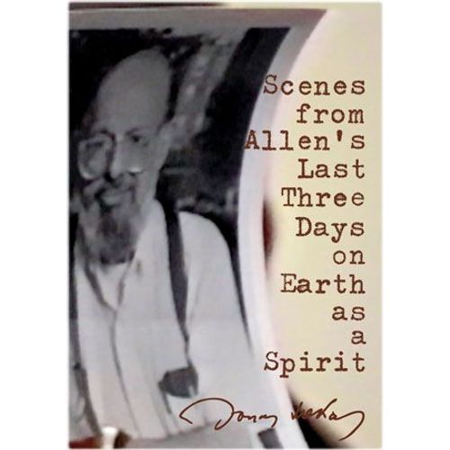 Scenes From Allen's Last Three Days On Earth As A Spirit