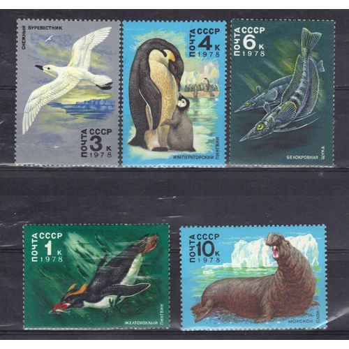 Russie 1978 : Faune De L'antarctique : Manchot / Pétrel Des Neiges / Manchot Empereur / Brochets / Elephant De Mer - Série Entière De 5 Timbres Neufs **
