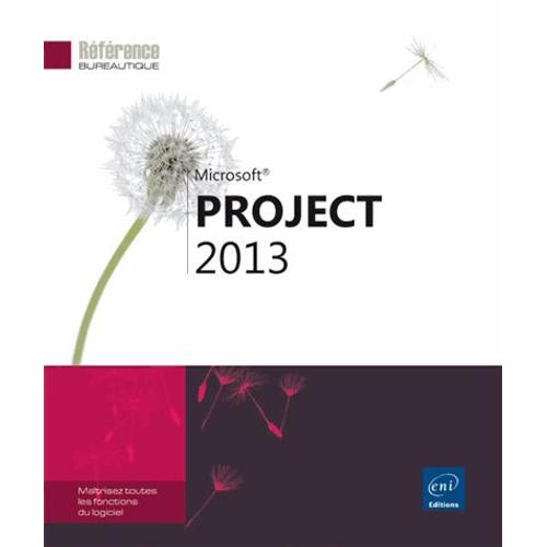 Project 2013