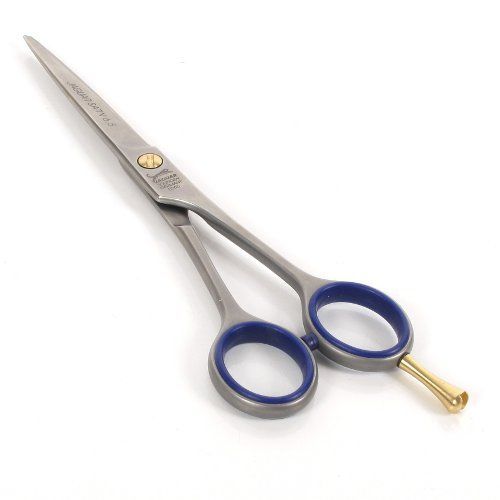 Ciseaux Professionnel Class Satin 65 17cm 