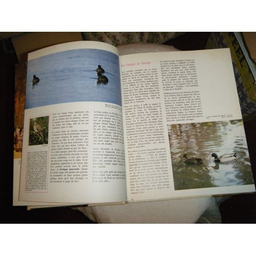 Animaux Et Reserves De France
