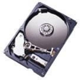 IBM Deskstar 40GV - Disque dur - 20 Go - interne - 3.5" - ATA-100 - 5400 tours/min - mémoire tampon : 512 Ko