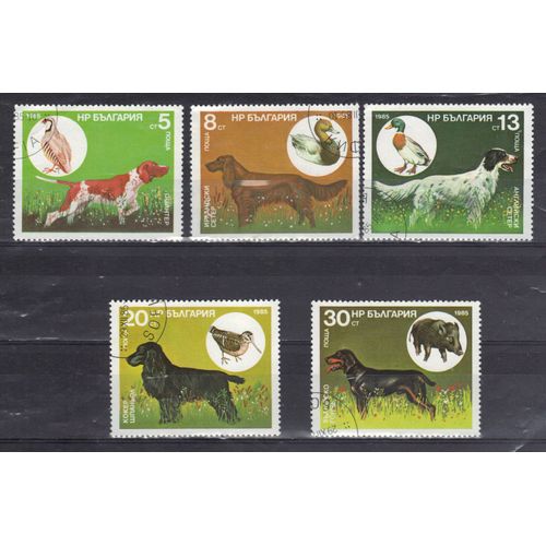 Bulgarie 1985 : Faune : Chiens De Chasse Et Leur Gibier : Pointer / Setter Irlandais / Setter Anglais / Cocker / "Gontché" Bulgare - Série De 5 Timbres Oblitérés