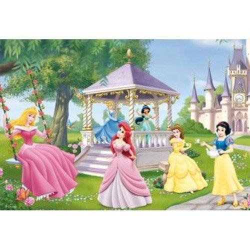 2 Puzzles 24 Pièces : Disney Princess Princesses Magiques
