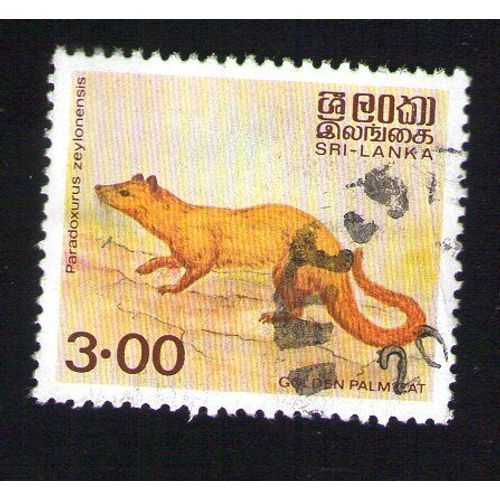 Sri Lanka Oblitération Ronde Used Stamp Golden Palm Cat Paradoxurus Zeylonensis Civette Palmiste De Ceylan Chat
