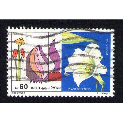 Israel Oblitéré Used Stamp Plant Breeding Sélection Végétal Plantes 1988