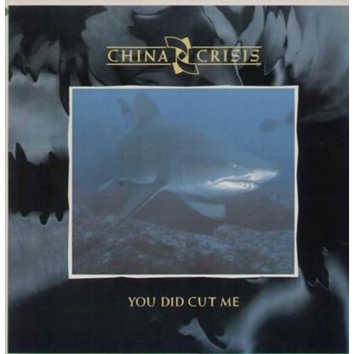 You Did Cut Me