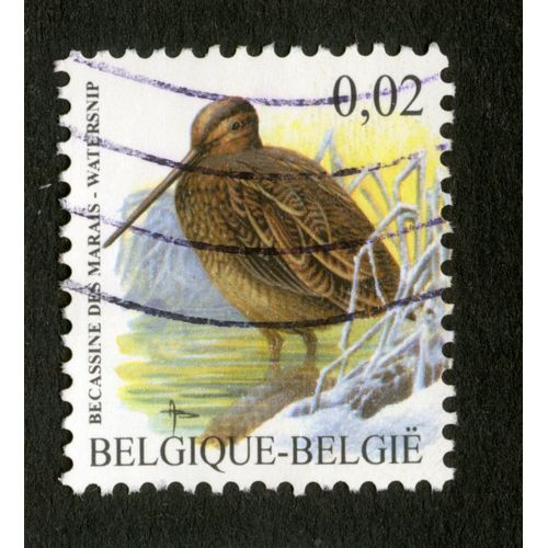Timbre Oblitéré Belgique, België, Bécassine Des Marais, 0,02