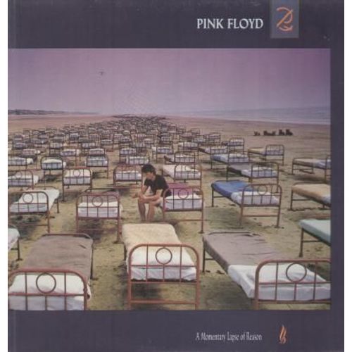 A Momentary Lapse Of Reason