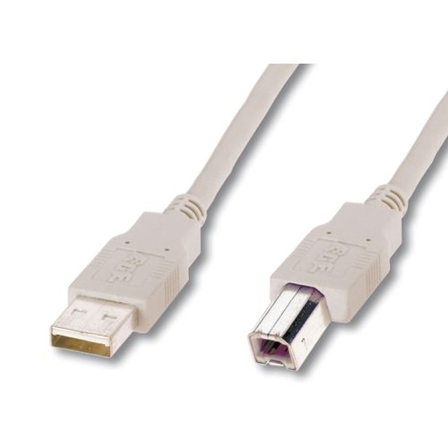 ASSMANN - Câble USB - USB (M) pour USB type B (M) - USB 2.0 - 1.8 m - moulé - beige