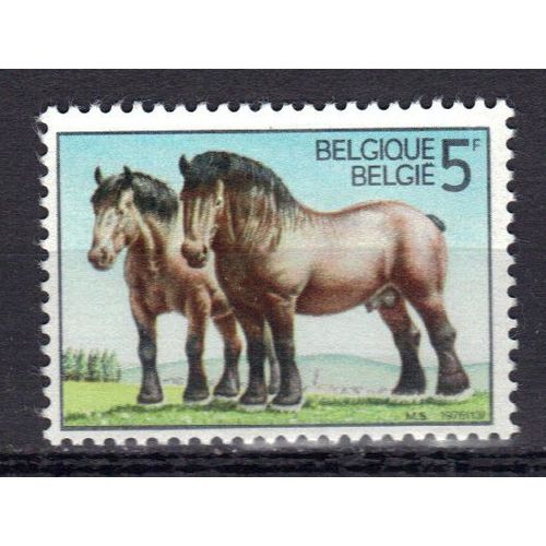 Belgique 1976 : 50è Anniversaire De La Fondation De La Société Royale "Le Cheval De Trait Ardennais" : Chevaux De Race Ardennaise - Timbre Neuf **