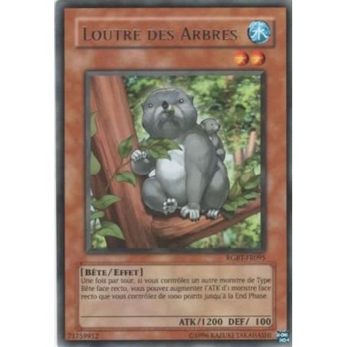 Carte Yu-Gi-Oh! "Loutre Des Arbres" Rare Rgbt-Fr095