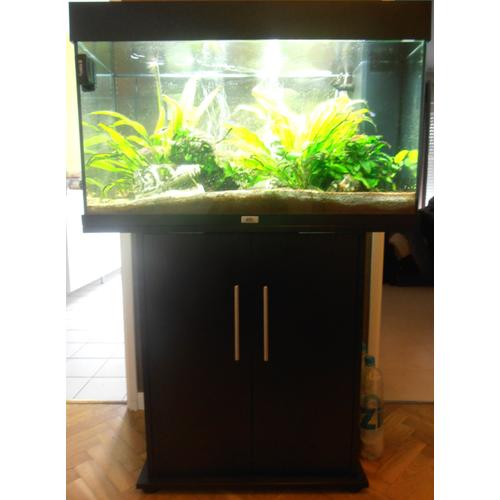 Aquarium Juwel 125l Avec Meuble + Accéssoires + Poissons