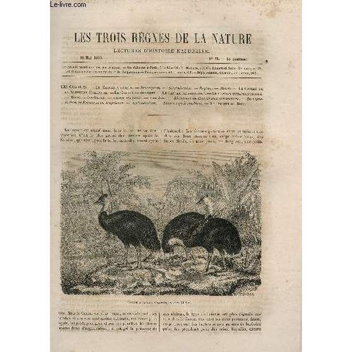 Les Trois Regnes De La Nature - Lectures D'histoire Naturelle / Deuxieme Annee  - N°72 - 13 Mai 1865 / Les Casoars : A Casque - De La Nouvelle Hollande - De Bennett - Bicaroncule -  Etc...