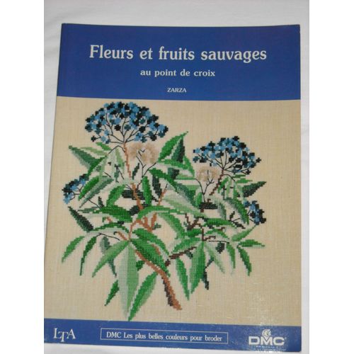 Fleurs Et Fruits Sauvages Au Point De Croix