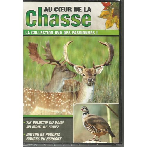 Histoires De Chasse : Tir Sélectif Du Daim Au Mont De Forez/Battue De Perdrix Rouges En Espagne