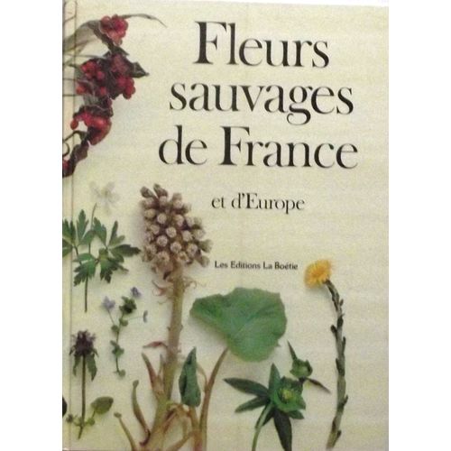 Fleurs Sauvages De France Et D'europe.