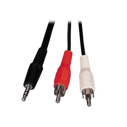 Câble audio Jack 3.5mm vers 2 RCA - 10 mètre