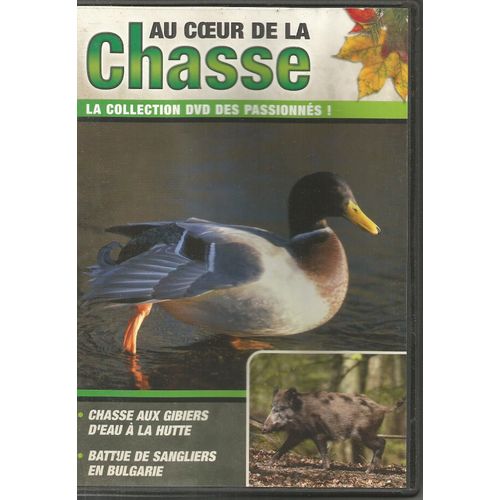 Histoires De Chasse : Chasse Au Gibiers D'eau A La Hutte/Battue De Sangliers En Bulgarie