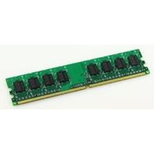 MicroMemory - DDR2 - 1 Go - DIMM 240 broches - 667 MHz / PC2-5300 - mémoire sans tampon - non ECC - pour HP Business Desktop dc7800; Workstation xw4600; HPE Compaq Business Desktop dc7700