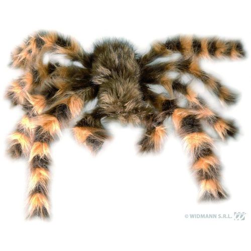 Tarantule Flexible Poilue