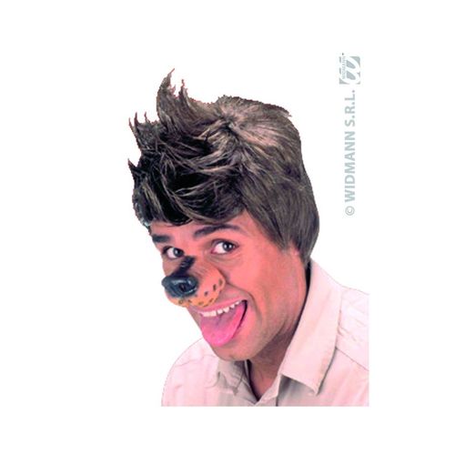 Nez De Chien