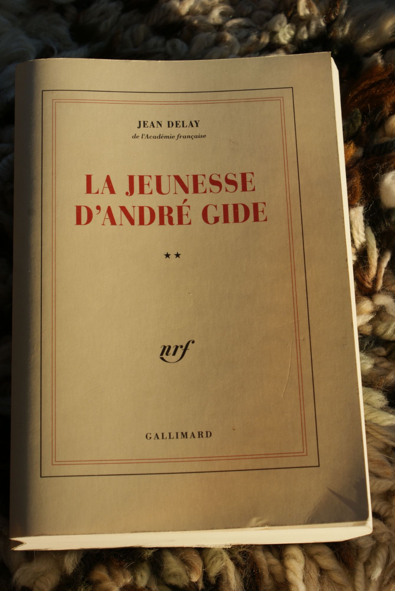 La Jeunesse D'andré Gide