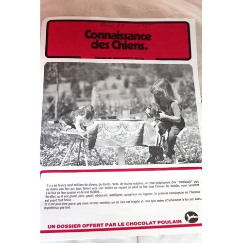 Connaissance Poulain  N° 00 : Connaissance Des Chiens