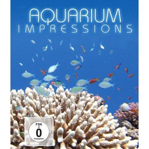 Aquarium Impressions