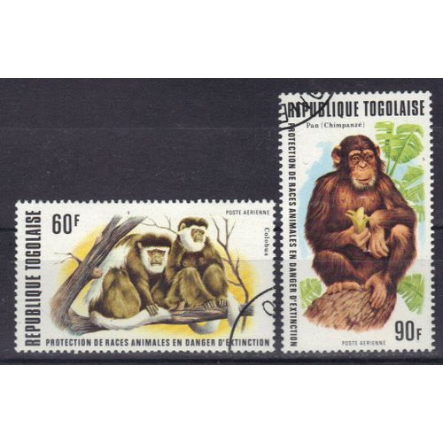 Togo 1977 Poste Aerienne : Protection De Races Animales En Danger D'extinction : Singes : Colobus / Chimpanzé - Série De 2 Timbres Oblitérés
