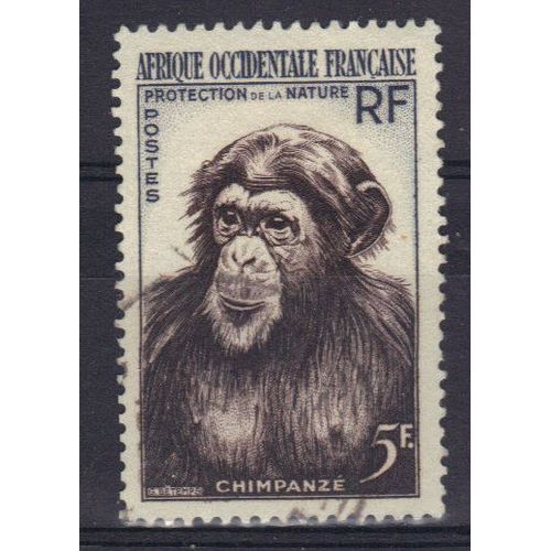 Afrique Occidentale Francaise 1955 : Protection De La Nature : Chimpanzé - Timbre Oblitéré