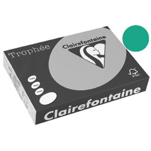 Clairefontaine Trophee - 271 microns - vert forêt - A4 (210 x 297 mm) - 210 g/m² - 250 feuille(s) boîte - papier teinté