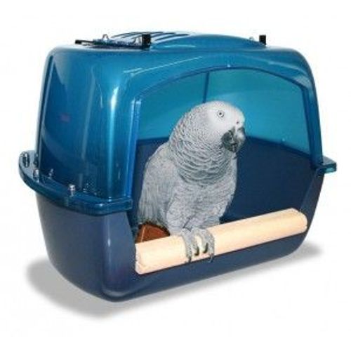 Baignoire Pour Perroquet