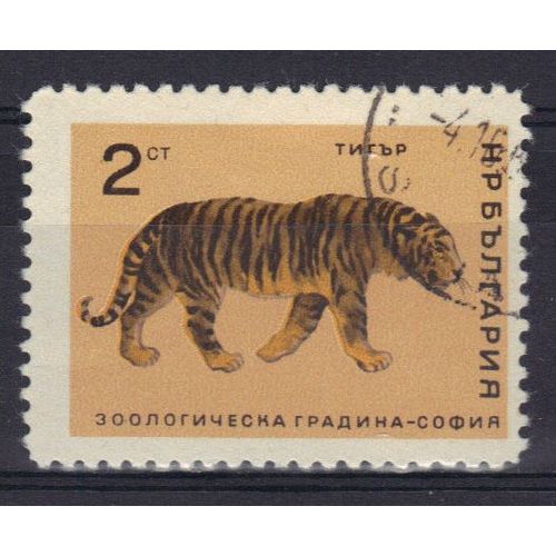 Bulgarie 1966 : Félin Sauvage : Tigre - Timbre Oblitéré