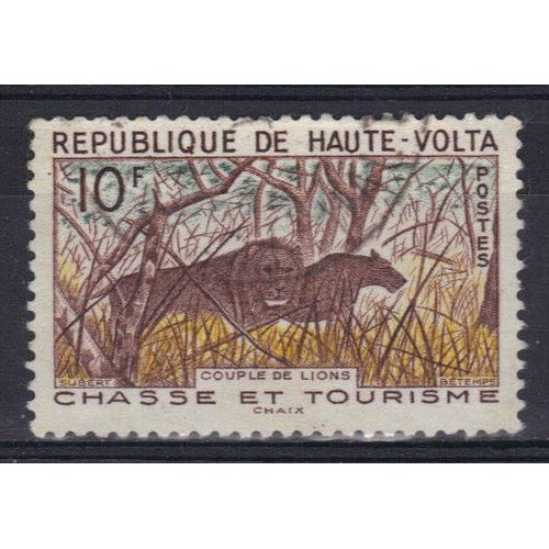 Haute-Volta 1962 : Félins Sauvages : Couple De Lions - Timbre Oblitéré