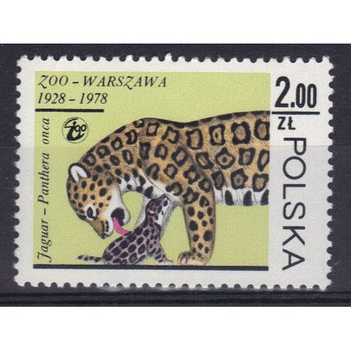Pologne 1978 : Félins Sauvages : Le Jaguar Léchant Son Petit - Timbre Neuf **