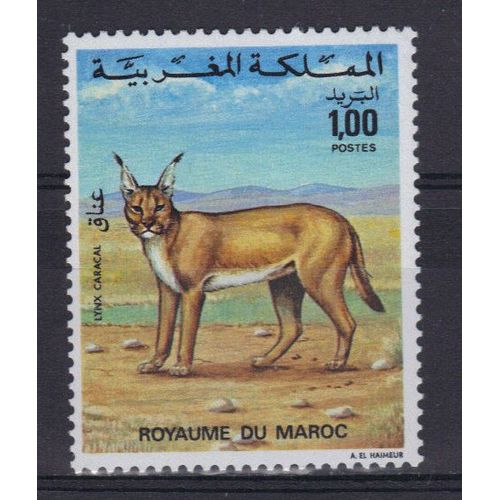 Maroc 1975 : Faune Marocaine : Félin Sauvage : Lynx Caracal - Timbre Neuf **