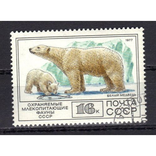 Russie 1977 : Faune : Animaux Sauvages : Ours Blanc Et Son Petit - Timbre Oblitéré