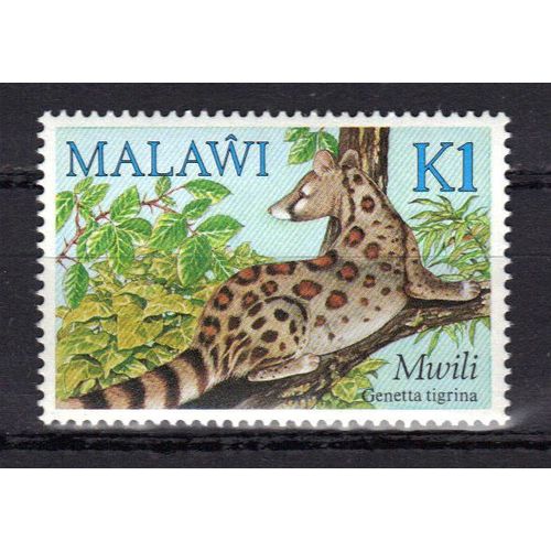 Malawi 1984 : Faune : Félin Sauvage : Genette Tigrée - Timbre Neuf **