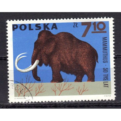 Pologne 1966 : Animaux  Préhistoriques : Mammouth - Timbre Oblitéré