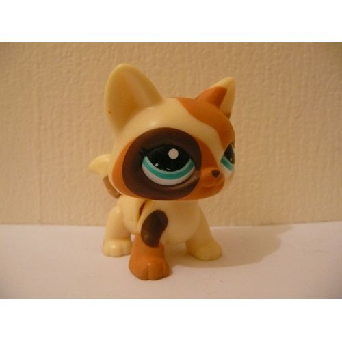 Petshop Chat Trotteur N° 2475