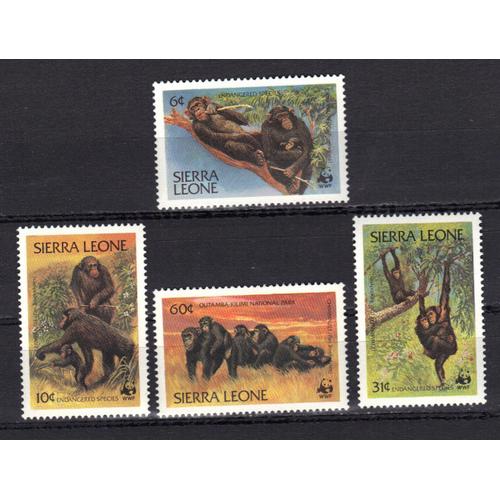 Sierra Leone 1983 : Faune : Espèces En Danger : Logo Du F.M.N.- W.W.F. : Singes : Chimpanzés - Série Entière De 4 Timbres Neufs ** Cote 15 