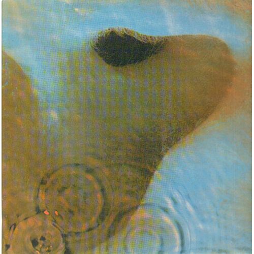 Meddle