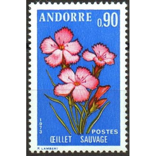 Flore - Fleurs Des Vallées D' Andorre