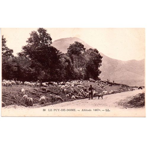 63 Le Puy-De-Dome - Carte Ancienne (Berger, Moutons)