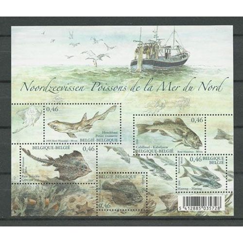 Belgique - Bloc N° 130 - Poissons De La Mer Du Nord -  2002.
