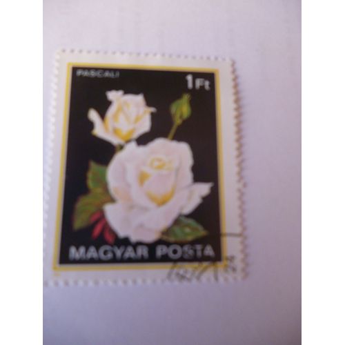 Timbre "Rose Pascali;Magyar Posta".