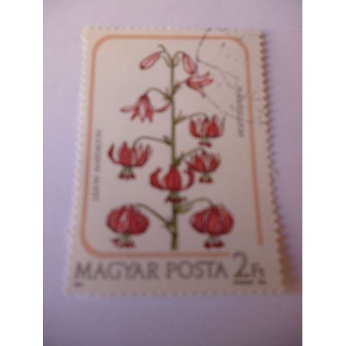 Timbre " Lilium Turban;Magyar Posta".