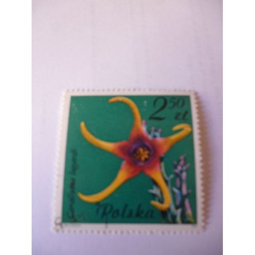 Timbre "Pologne:Caralluma Lugardi".